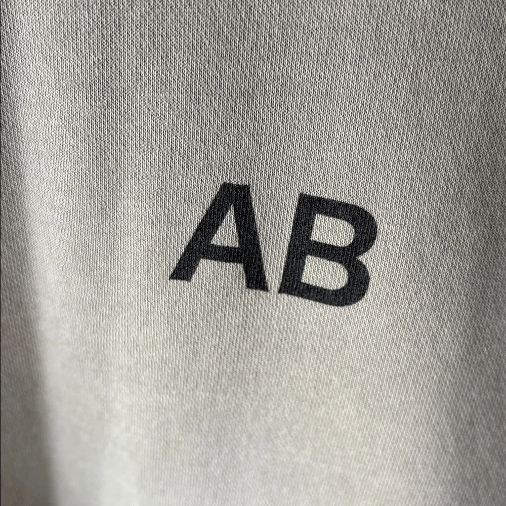 Andrew Bird Sweatshirt Inside Problems Concert Indy Folk Rock Tour Merch Size S - Picture 2 of 4